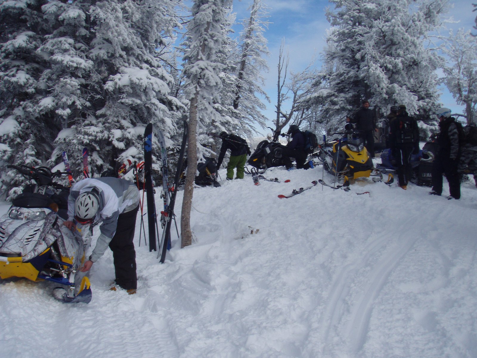 Massive sled skiing crew