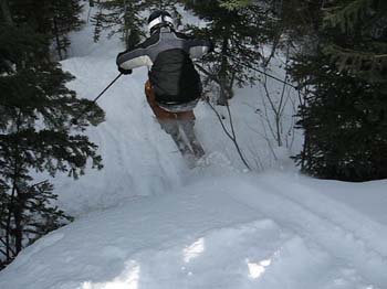 Tamarack pillow drop