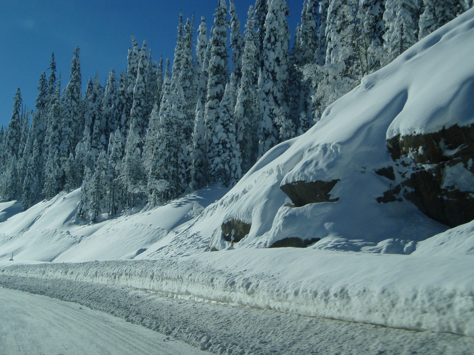 View from the car up wolf creek pass this saturday