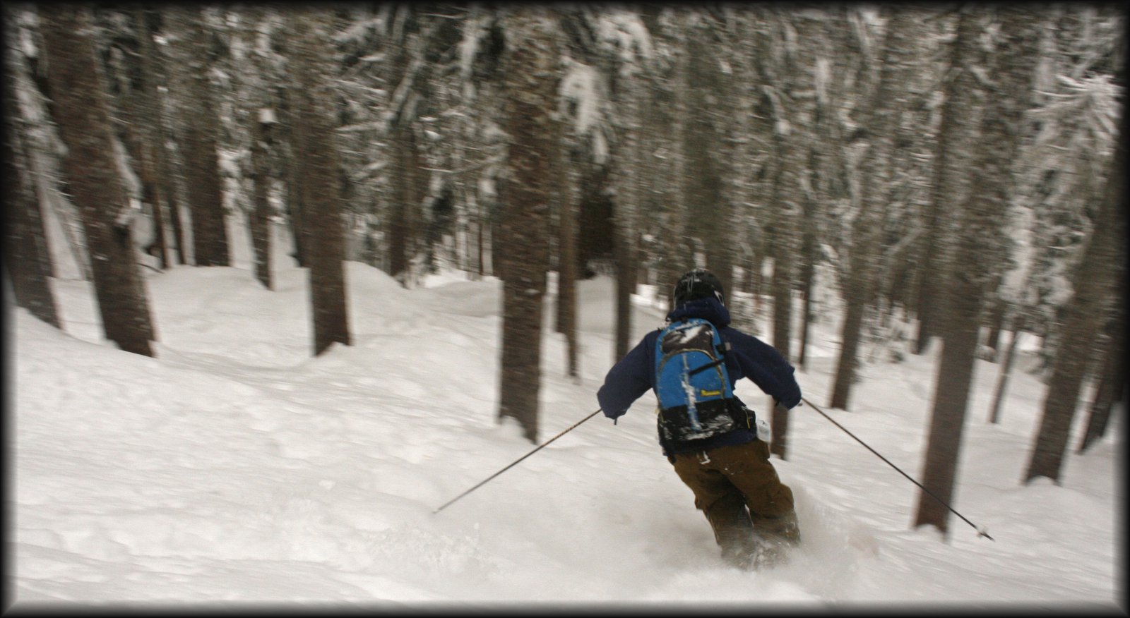 Forest Skiing