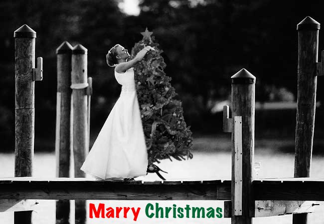 Marry Christmas!