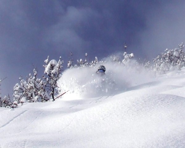 Bluebird Blower at The Can