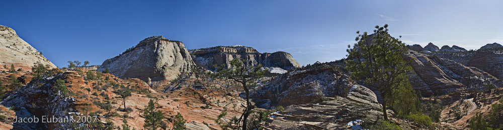 Zion Panorama