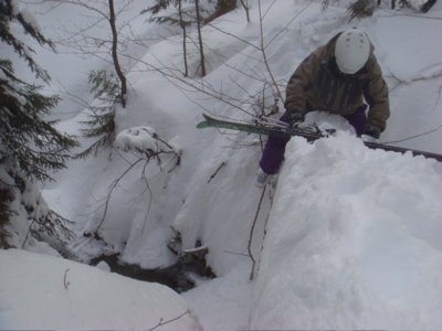 Crossing a log