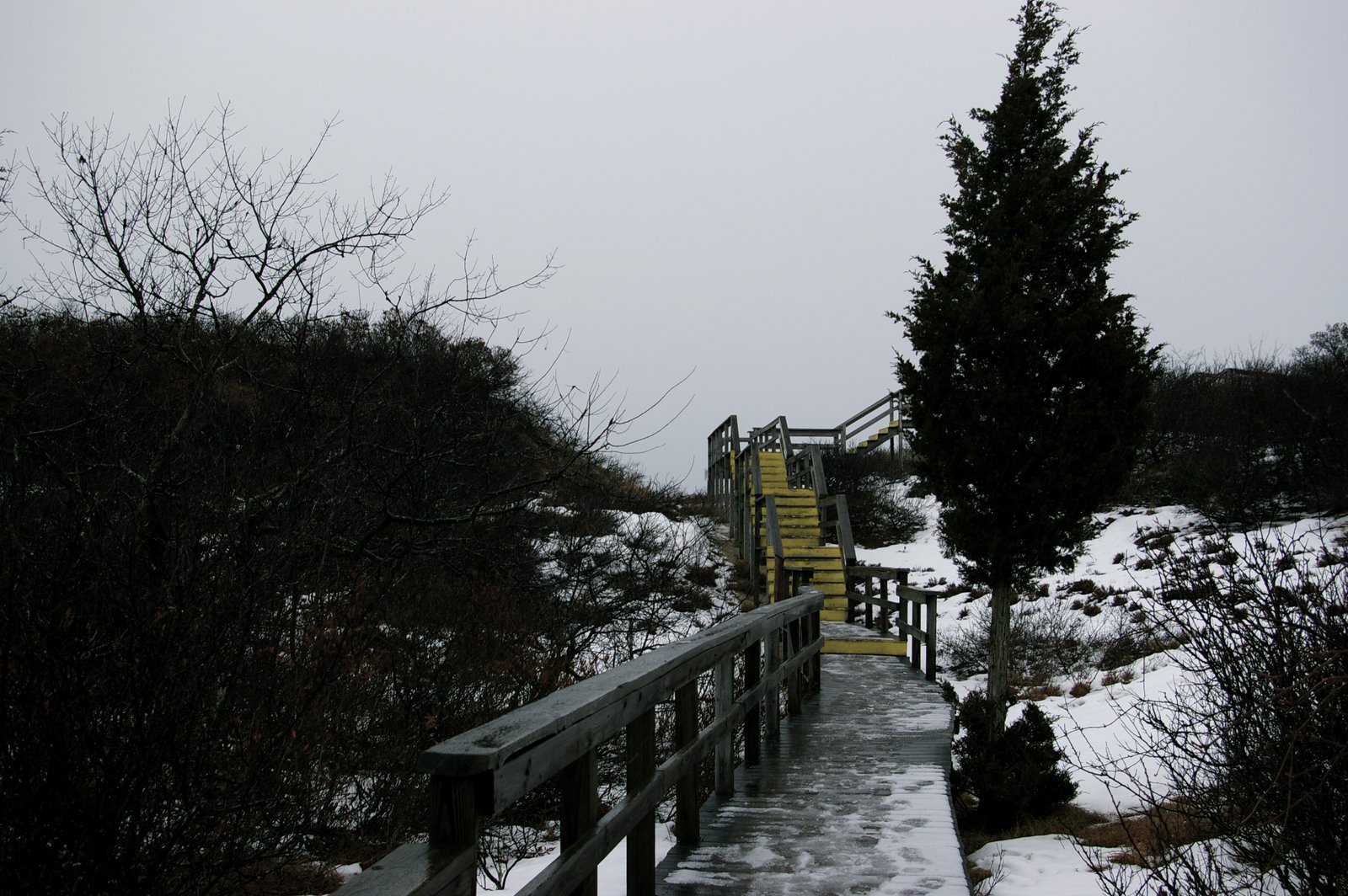 Boardwalk