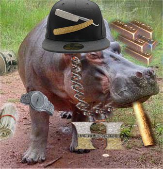 Hippo steez