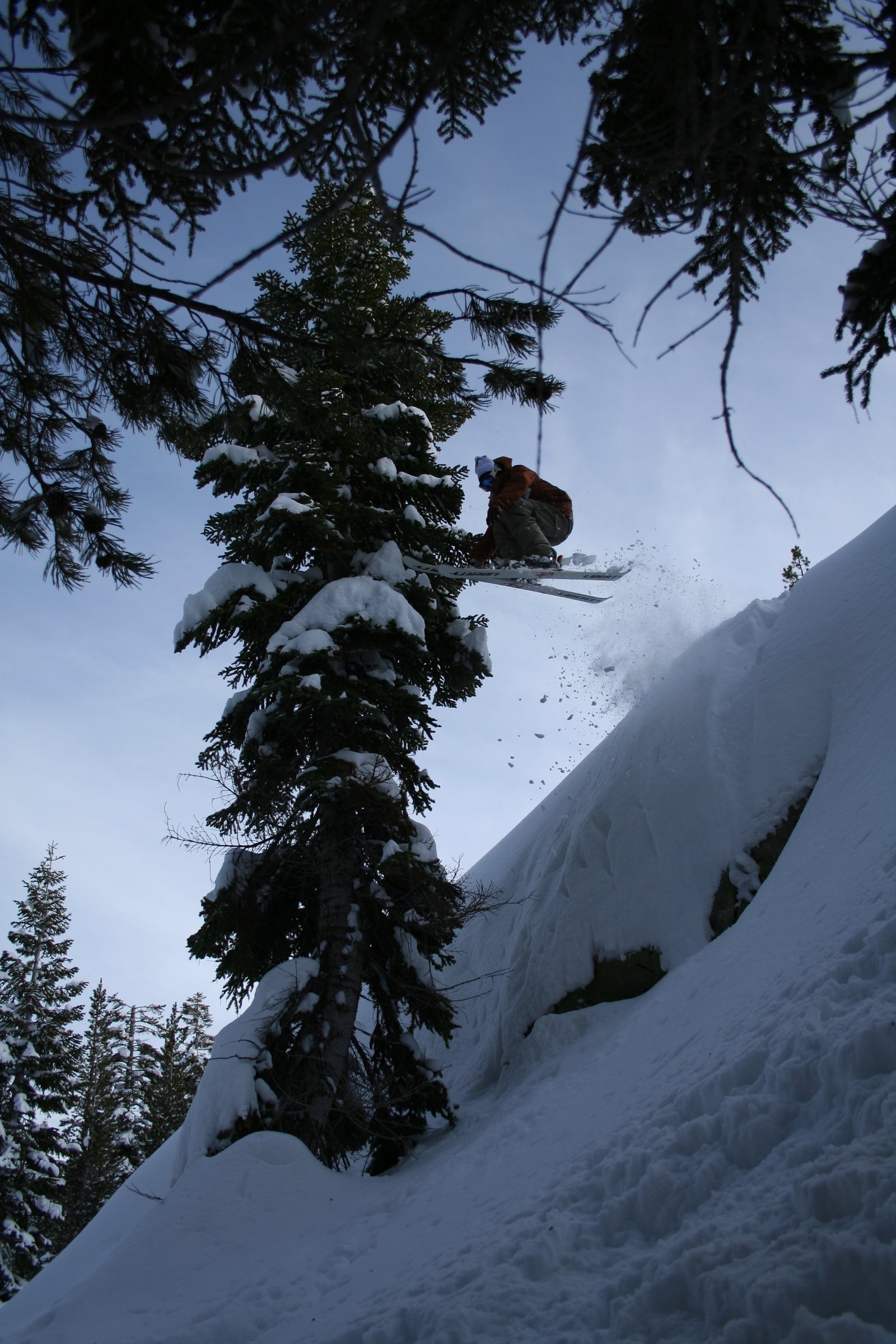 Boreal Cliff Drop