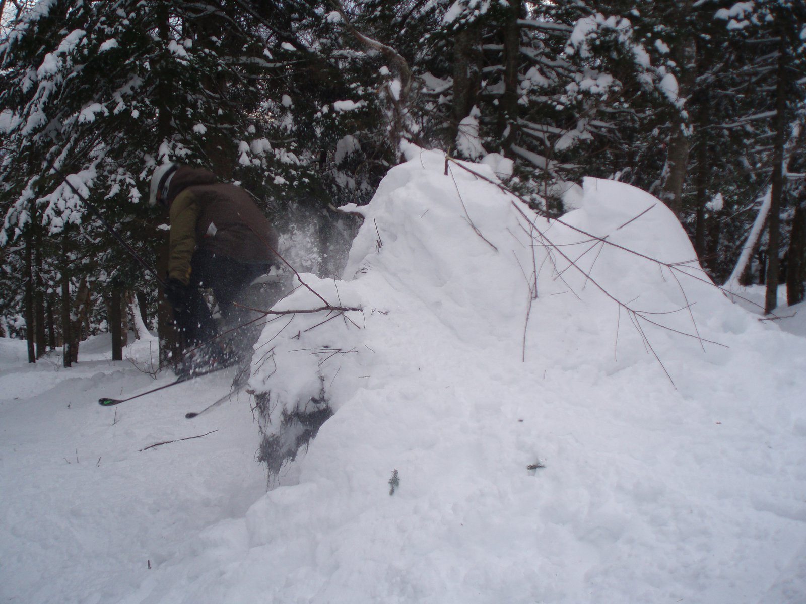 Tree stump