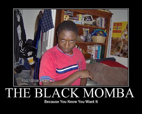 The momba