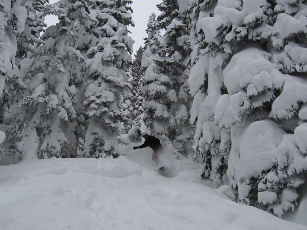 Alex taking a tree line