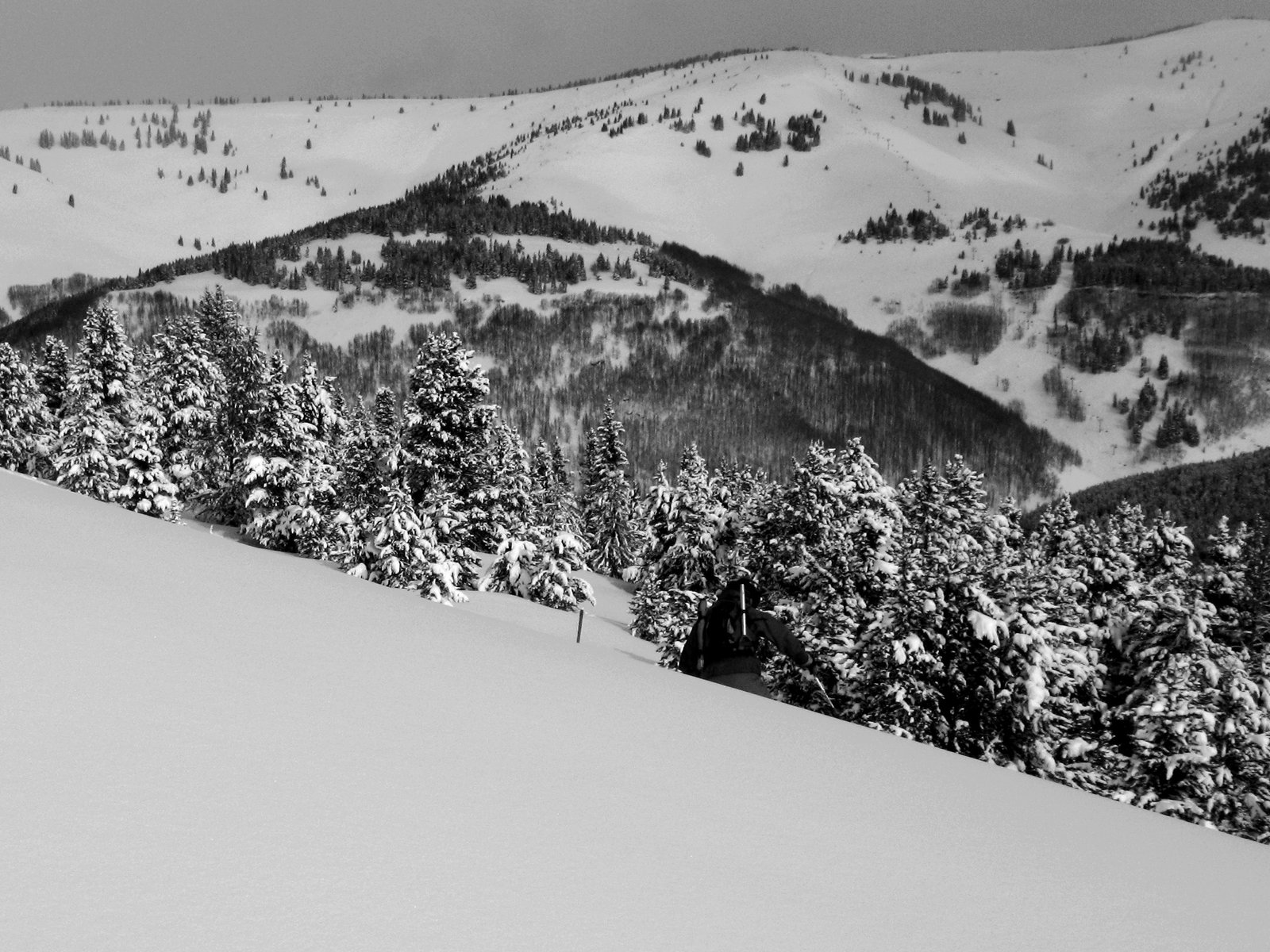 Dropping the cornice outside Earl's Bowl