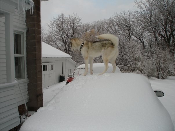 Cooper on car