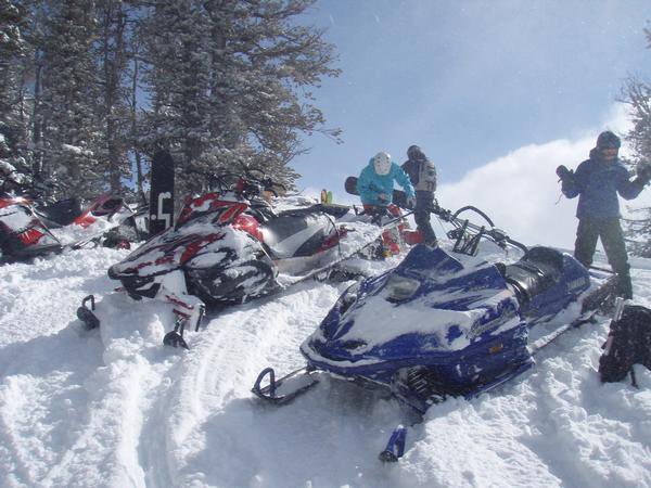 Another Day on the sleds