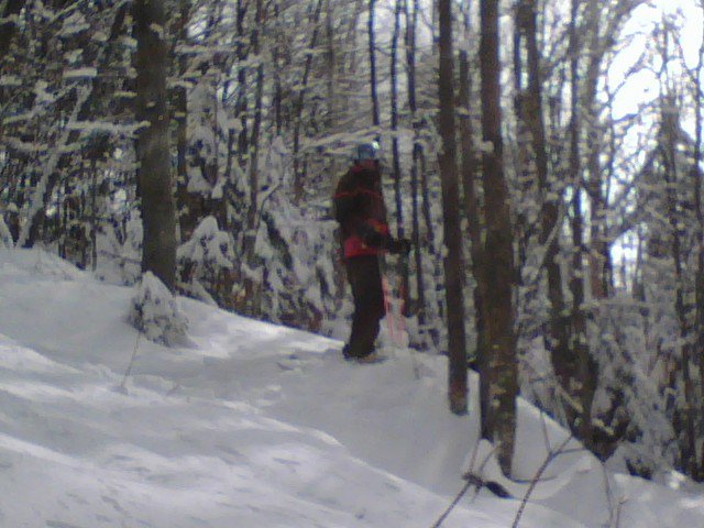 Powder searchin at loon