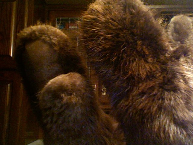 Beaver mittens!