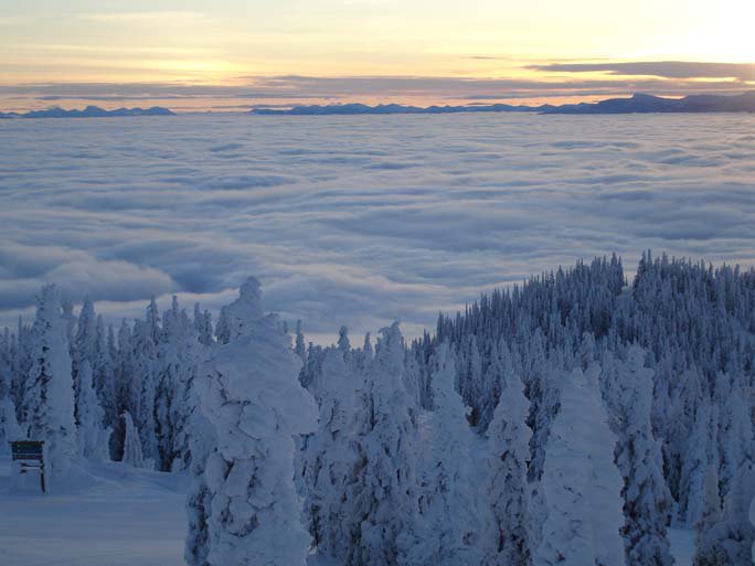 Blanket of fog