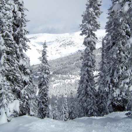 The Vastness of Vail