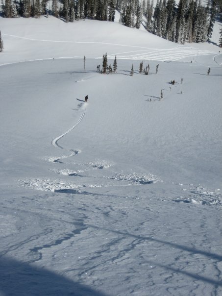 Fresh Turns