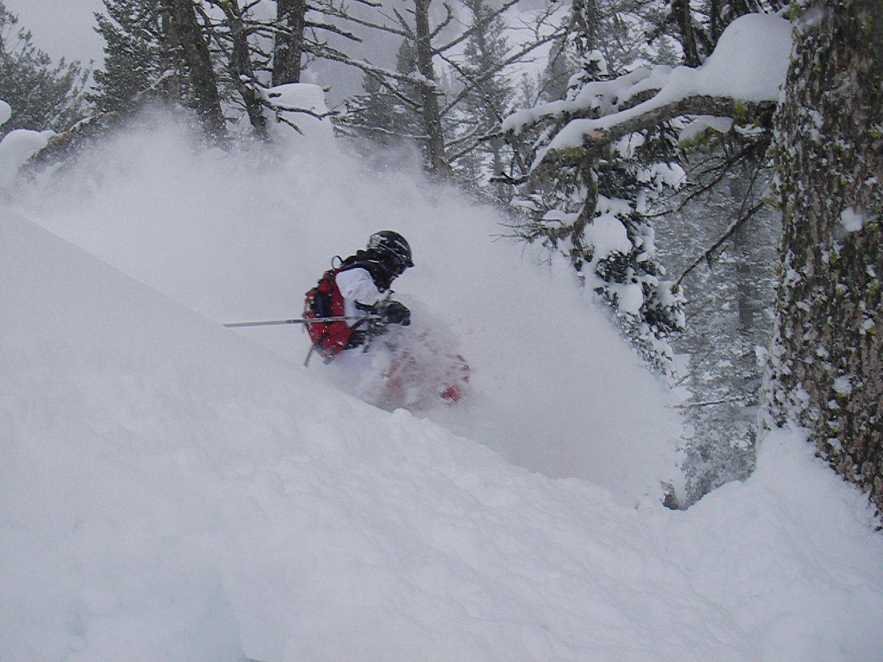 The snow is good in Wyoming