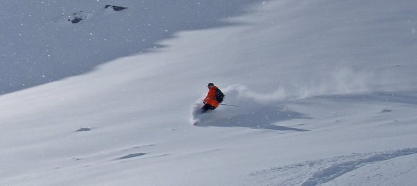 Switch pow