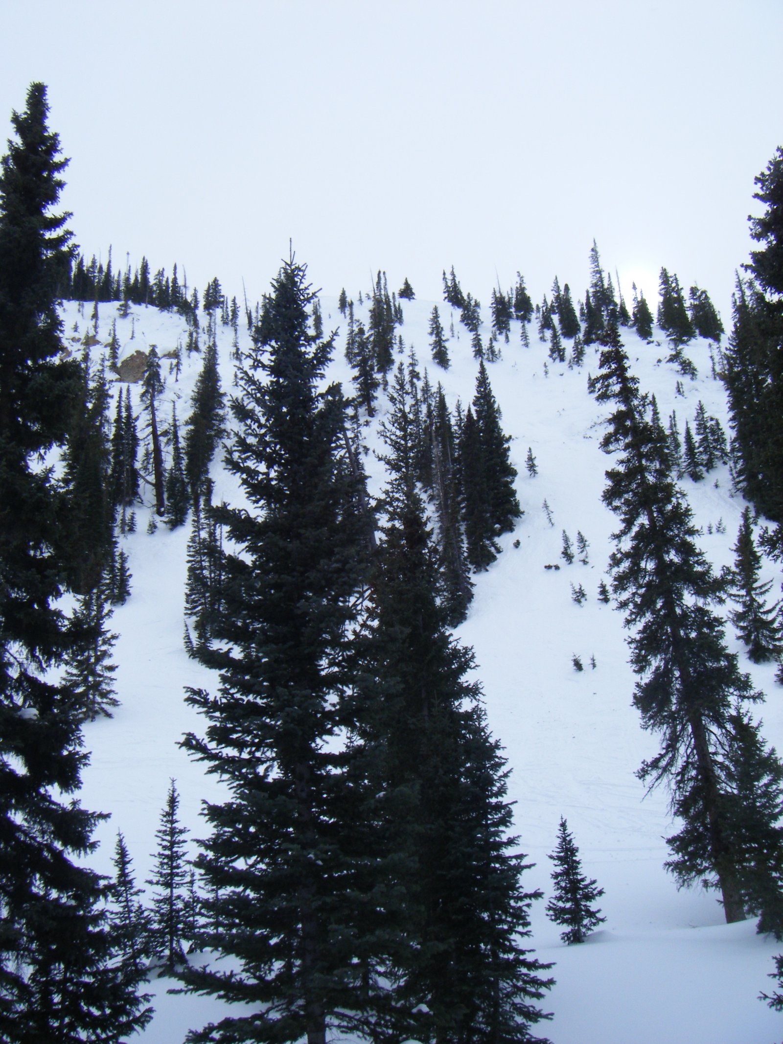 Hawk's Nest: Crested Butte