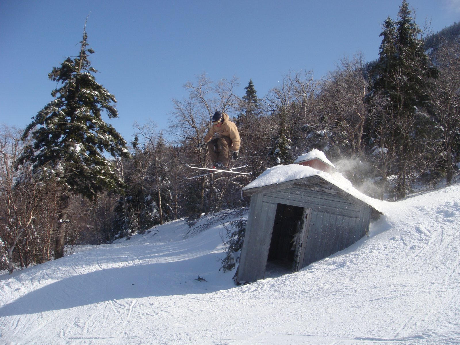 Shed Jump