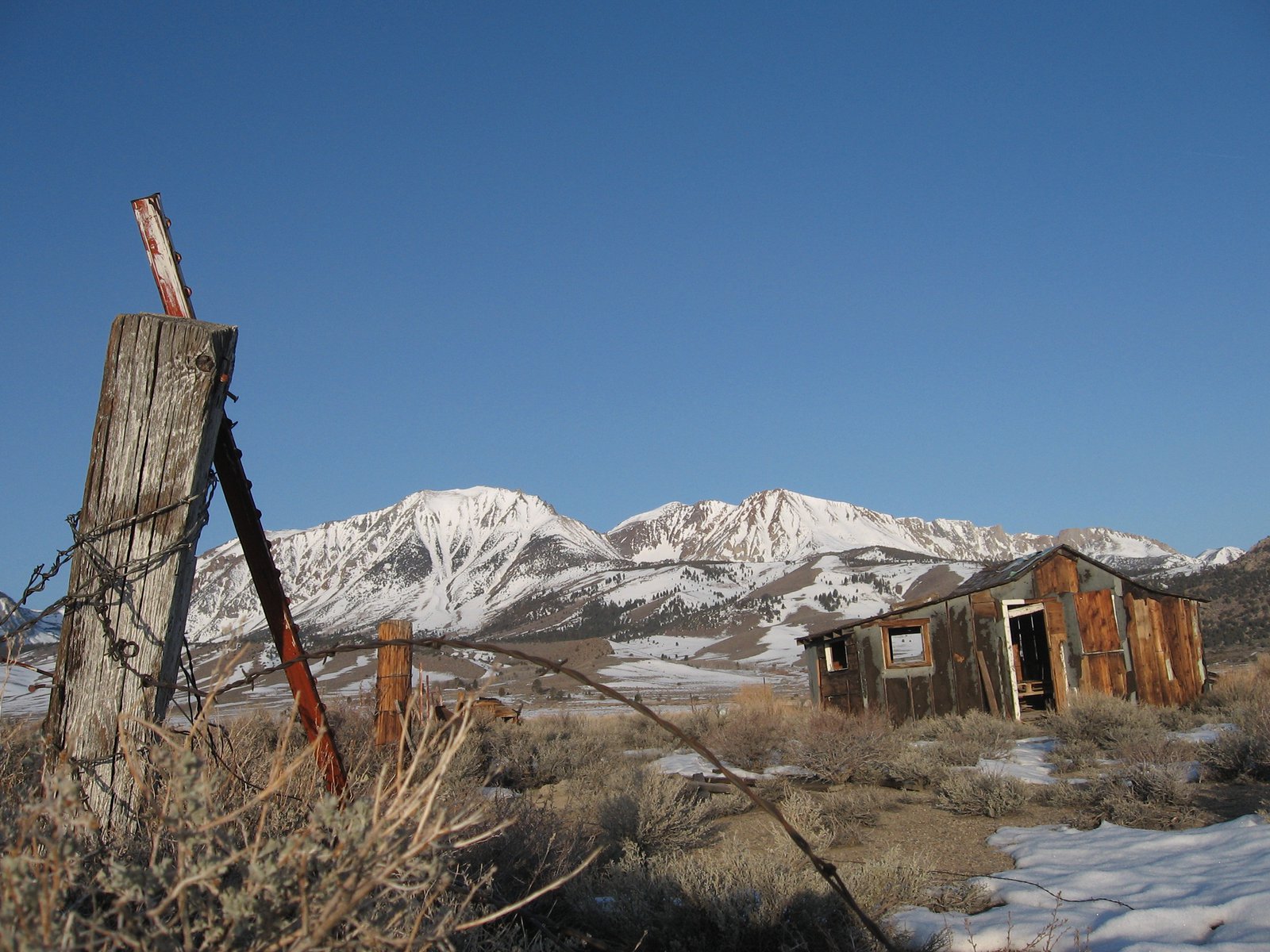 Barbed wire and shack