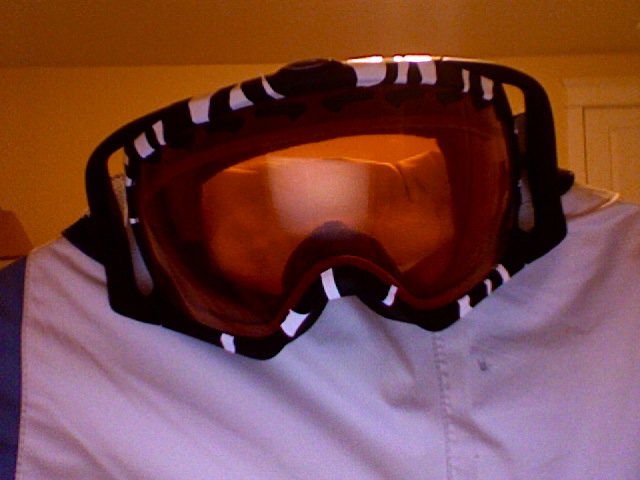 Custom Zebra Goggles (Half Done)