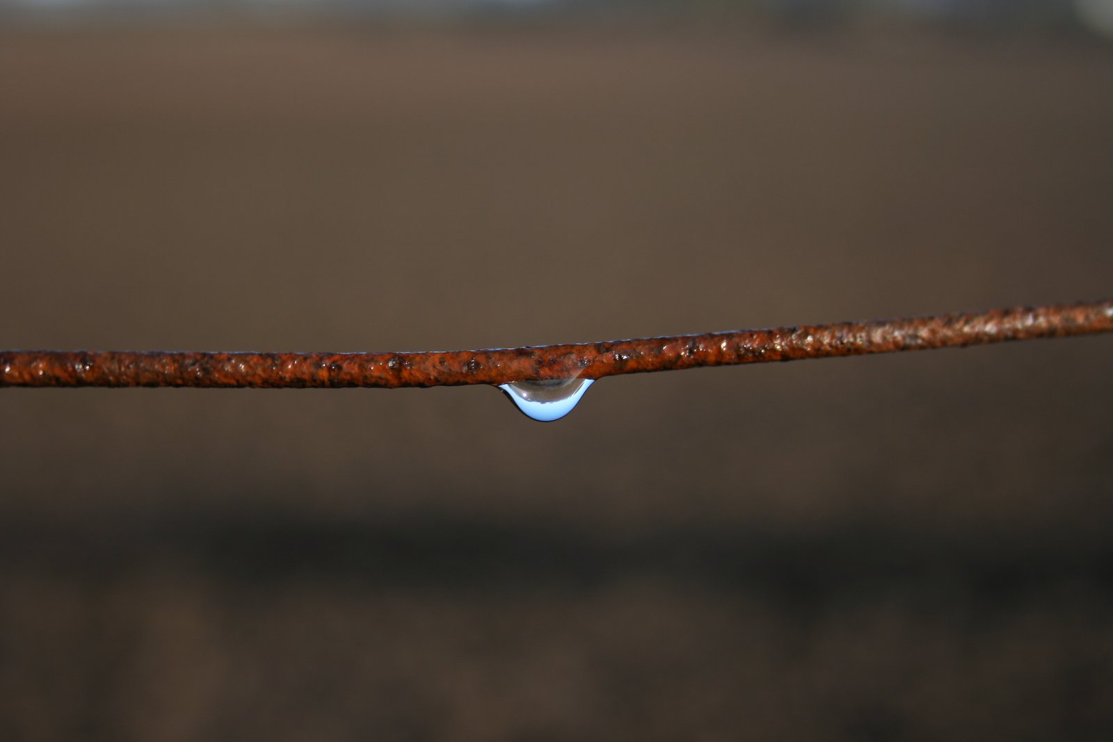 Water Drop on Rusty Wire