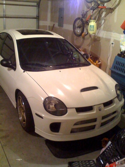 Srt4