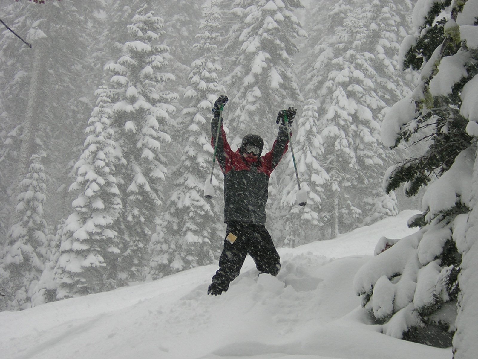 Stoked on 3 1/2 feet of fresh pow