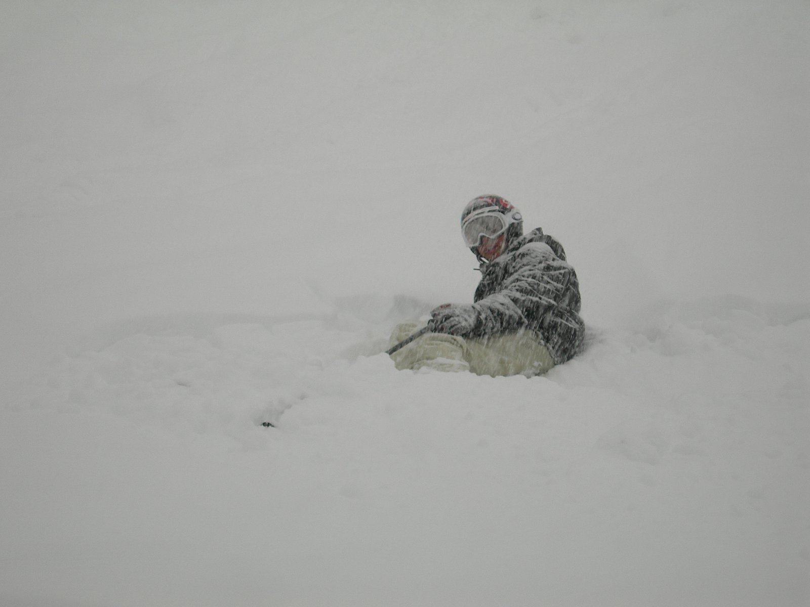 Skiing pow everyday