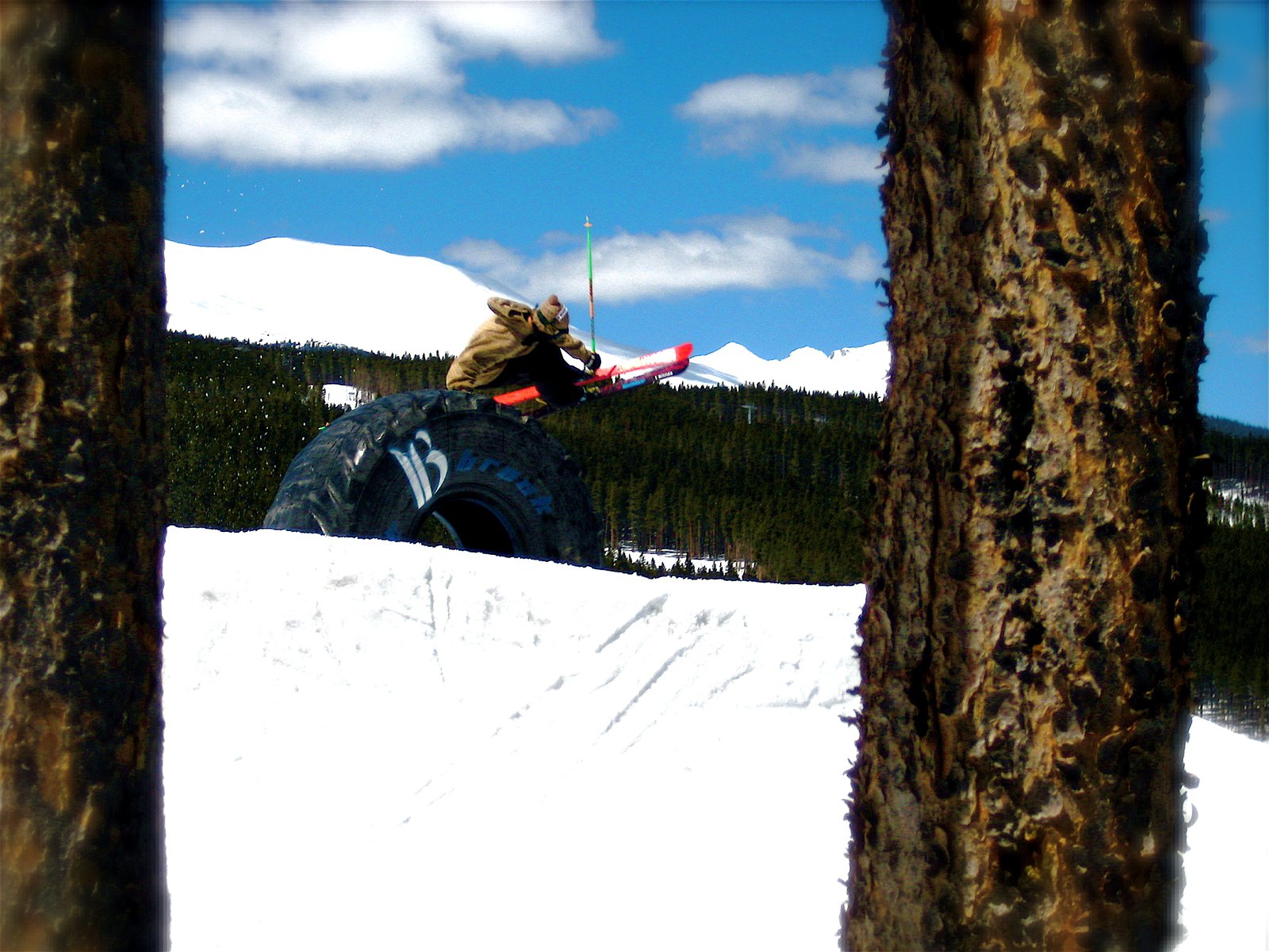 Tire Hand Plant