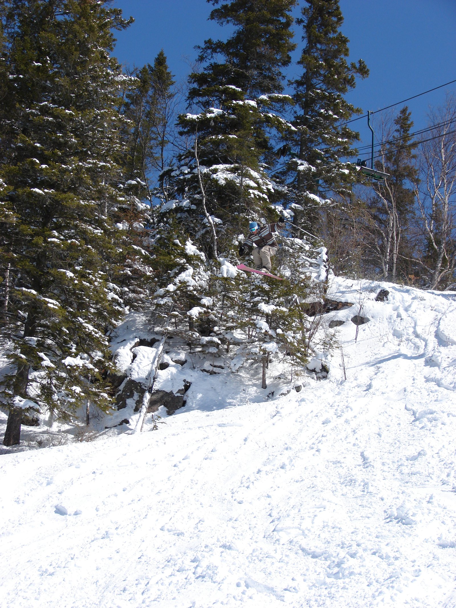 Jumping pine trees