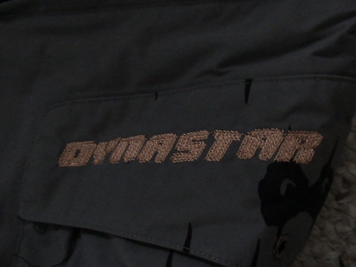 Dynastar logo on the pants