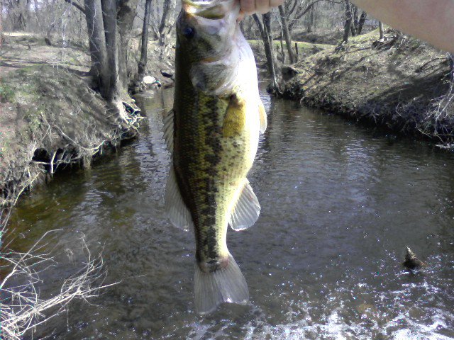 3.5 pounder