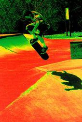 Rasta sk8