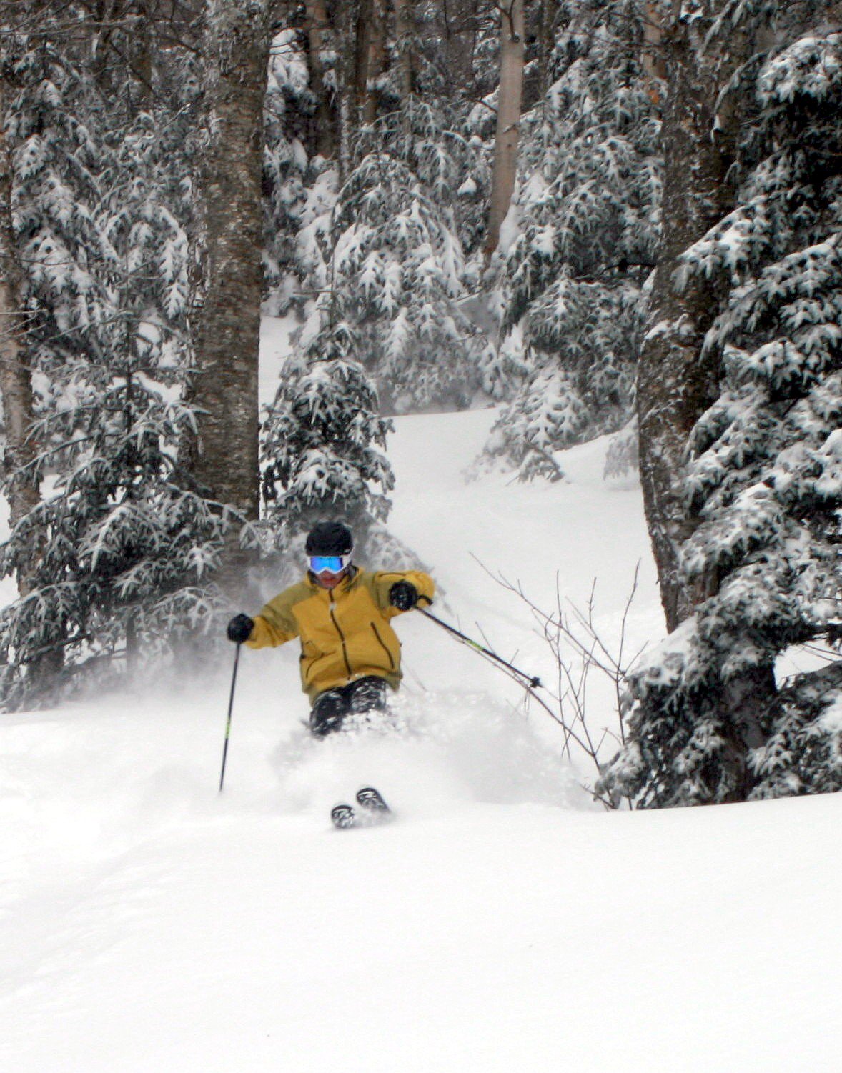 JAY PEAK