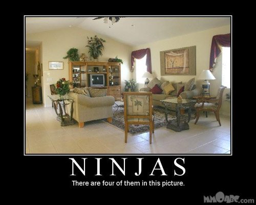 Ninjas