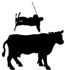 180 cow sticker