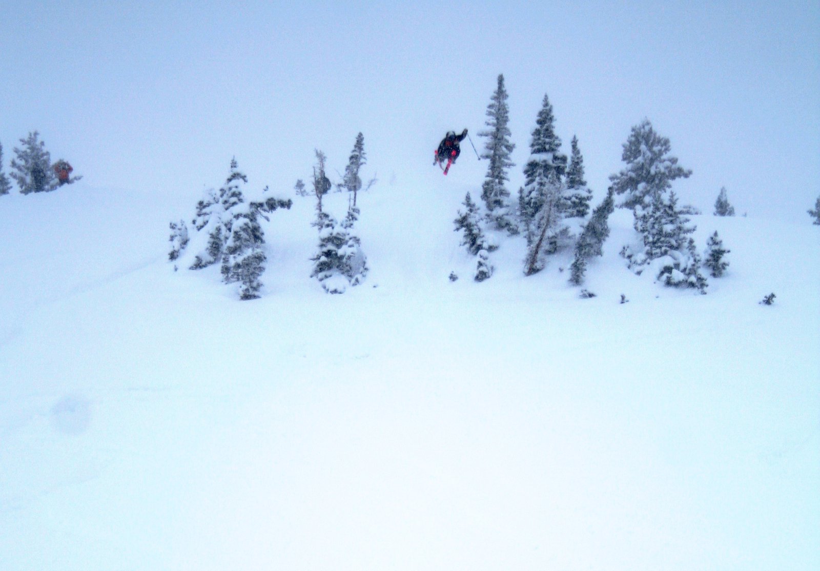 WHITE OUT TREE AIR