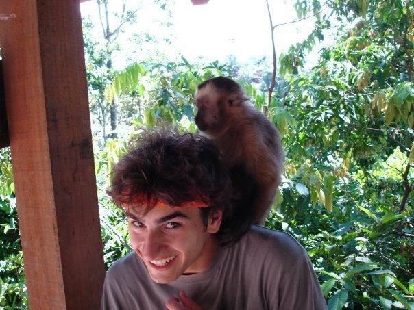 Monkey on my head