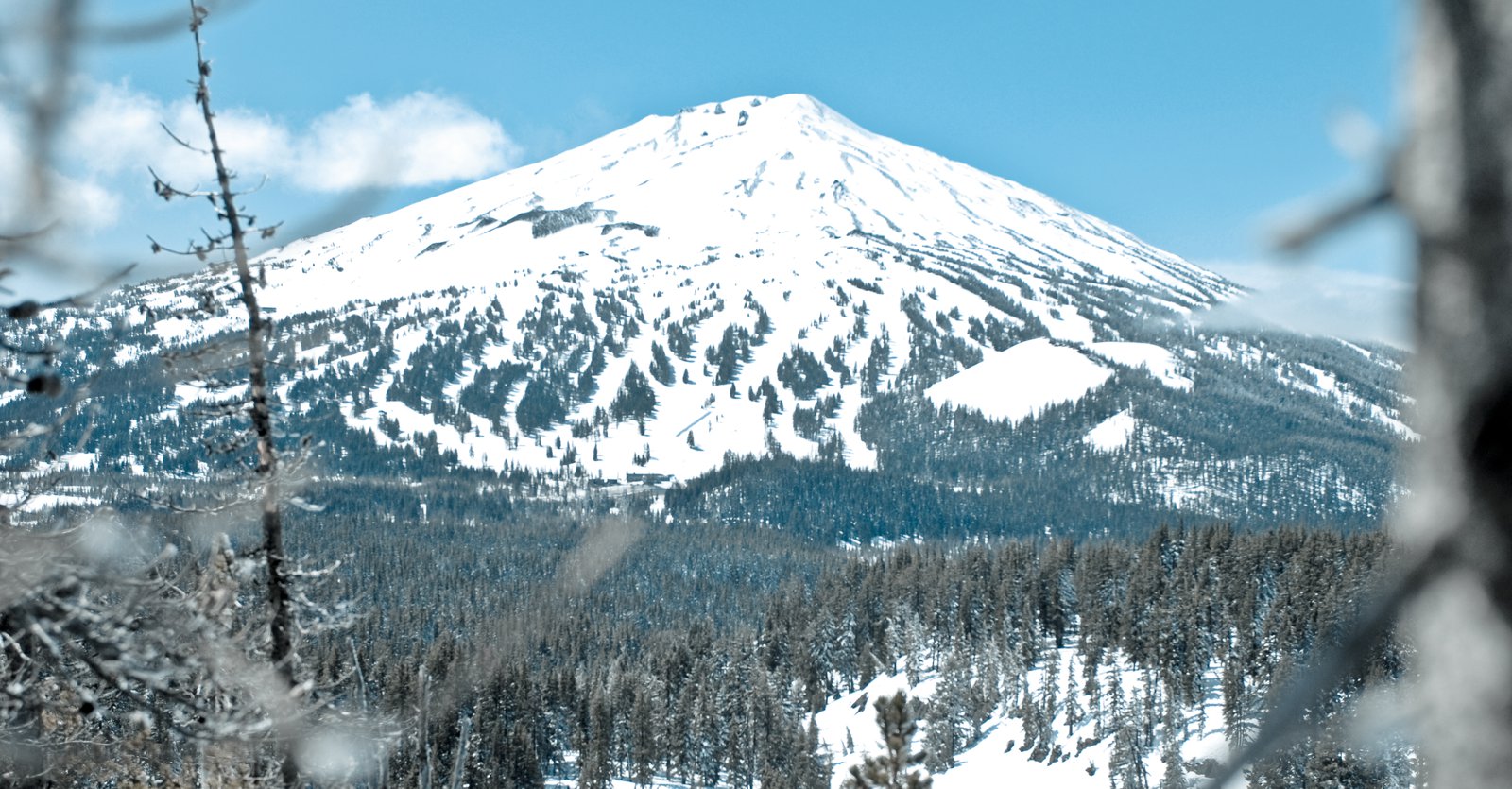 Mt Bachelor