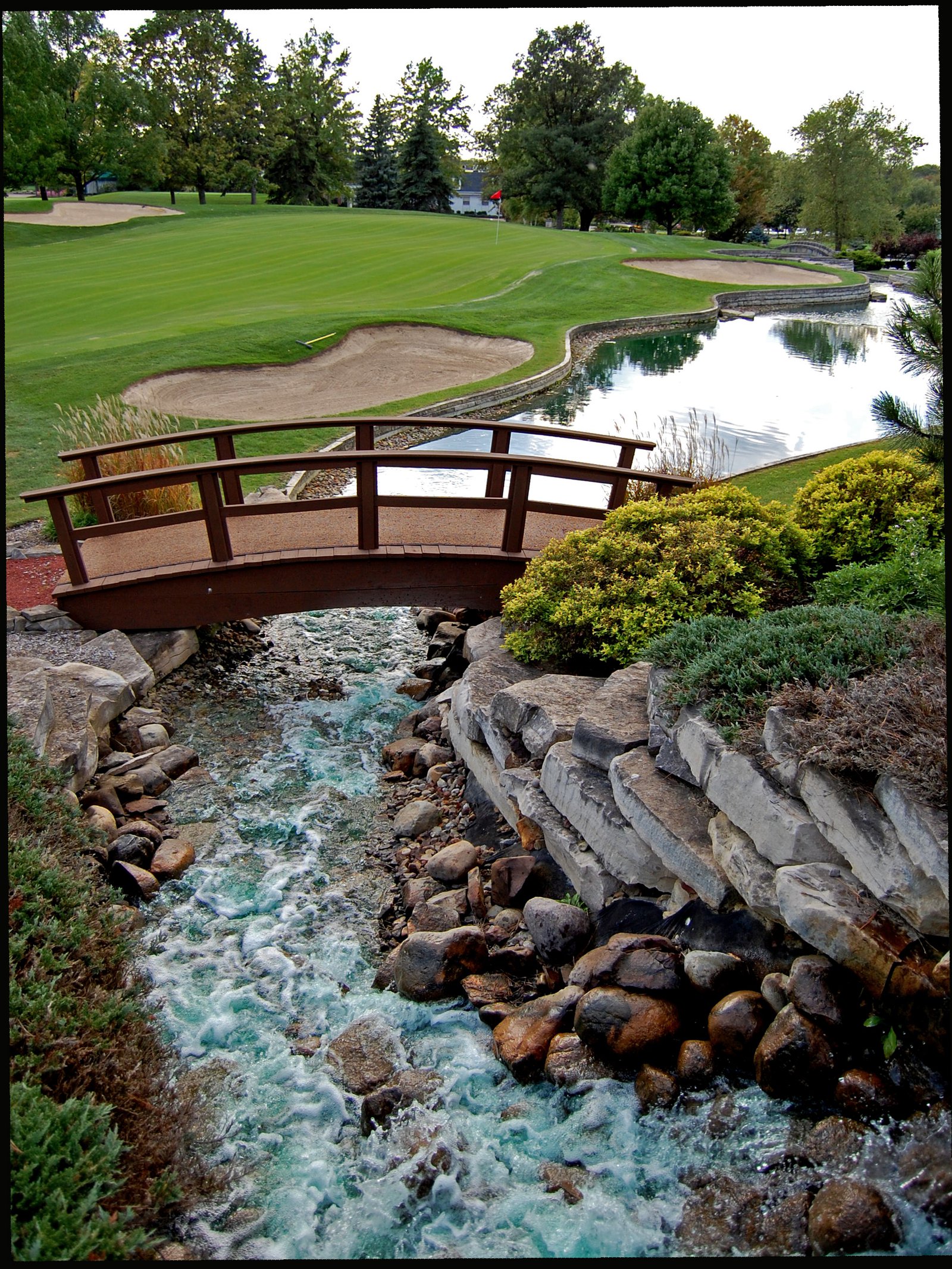 Realy neat golf course shot