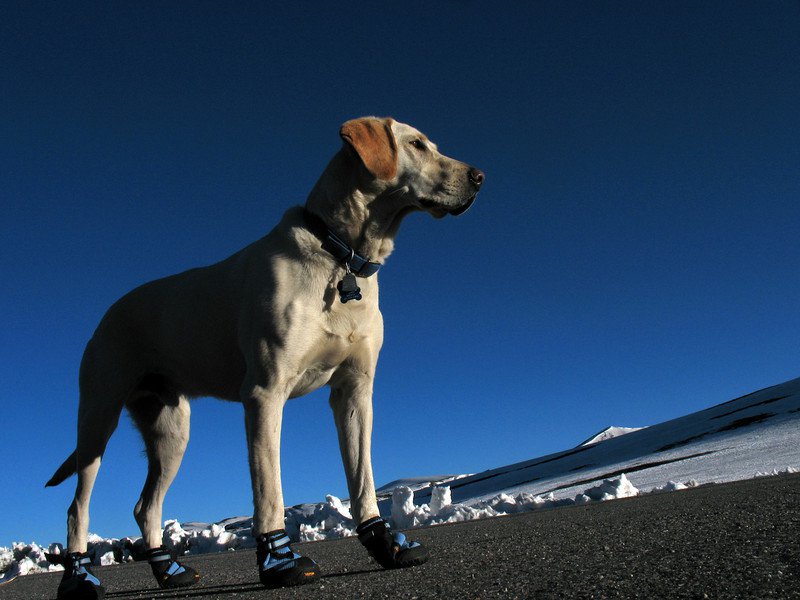 Hudson getting anxious for snow