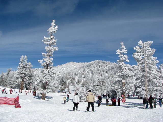 Top of Gondola