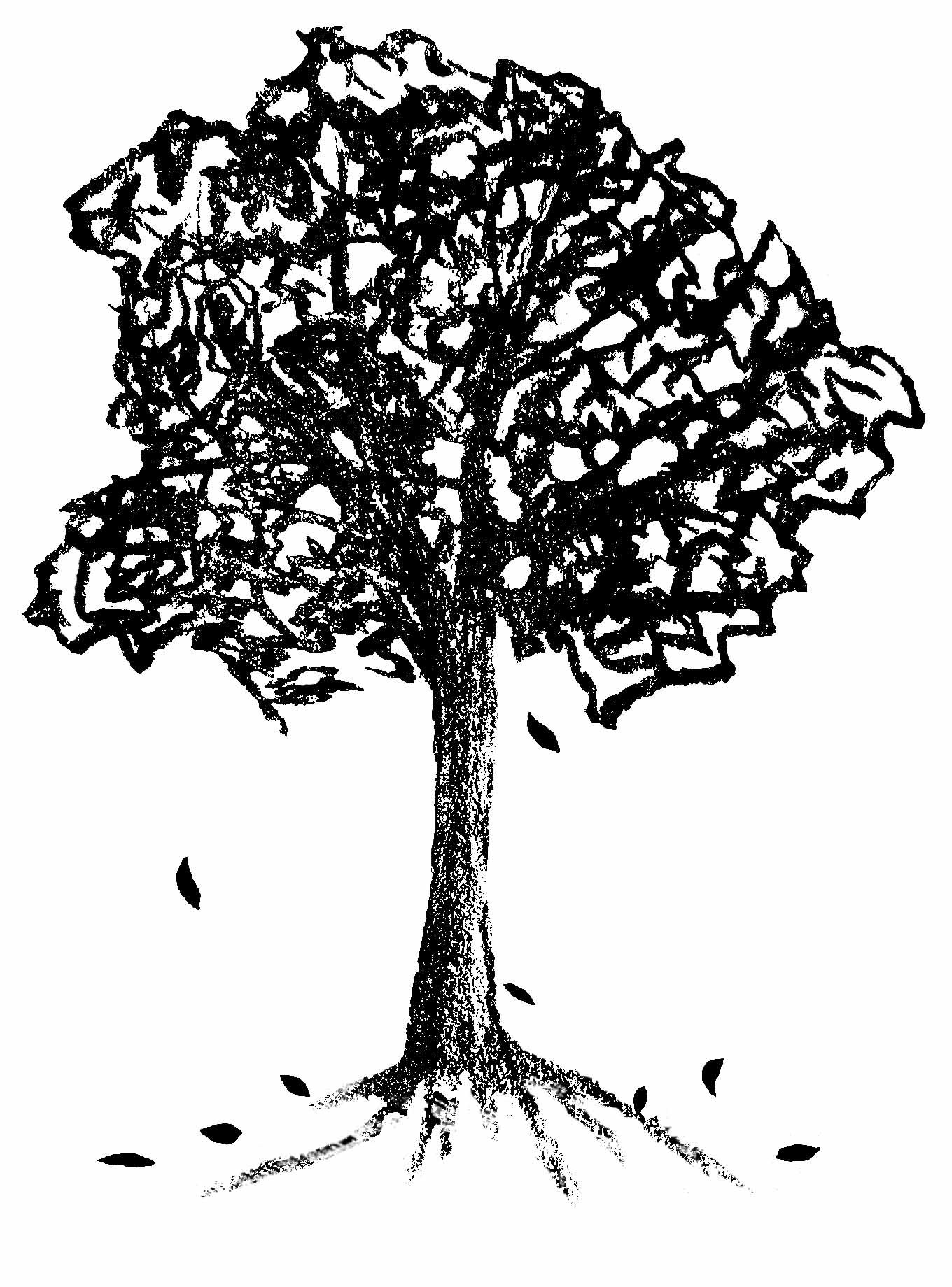 Tree sketch