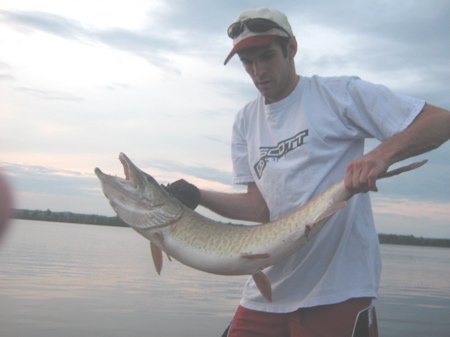 Muskie 20lbs