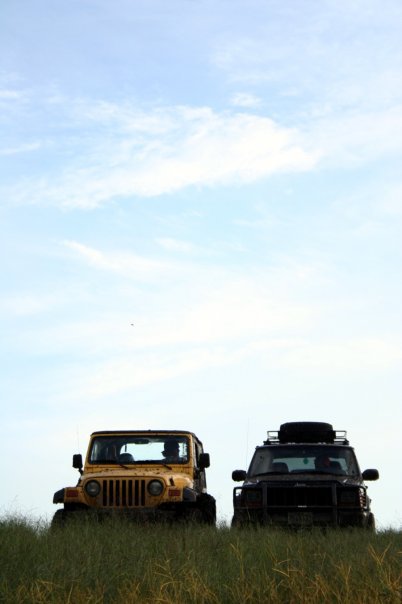 Jeeps