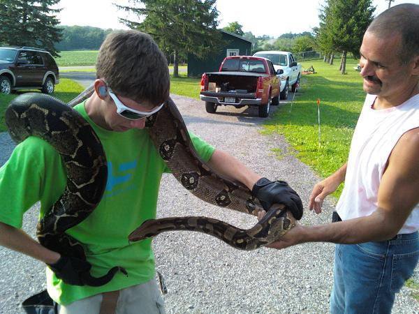 Me and an 8 foot 50 pound python and my NS shirt